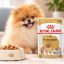 پوچ سگ پامرانین رویال کنین 85 گرم Royal Canin Pouch