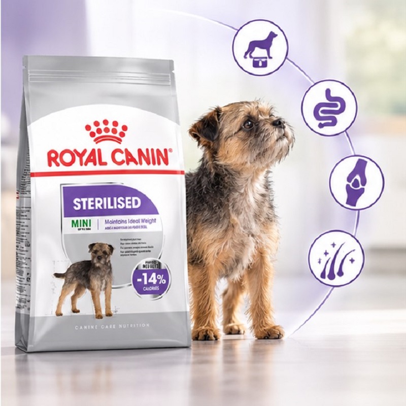 غذای خشک سگ رویال کنین مینی استرلایزد (عقیم شده) 3 کیلوگرم Royal Canin Food