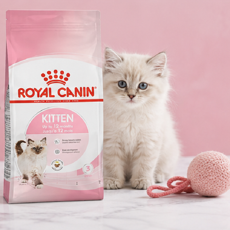 غذای خشک گربه کیتن رویال کنین 10 کیلوگرم Royal Canin kitten