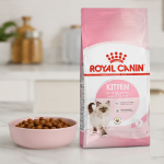 غذای خشک گربه کیتن رویال کنین 5 کیلوگرم Royal Canin kitten