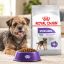 غذای خشک سگ رویال کنین مینی استرلایزد (عقیم شده) 500 گرم Royal Canin Food