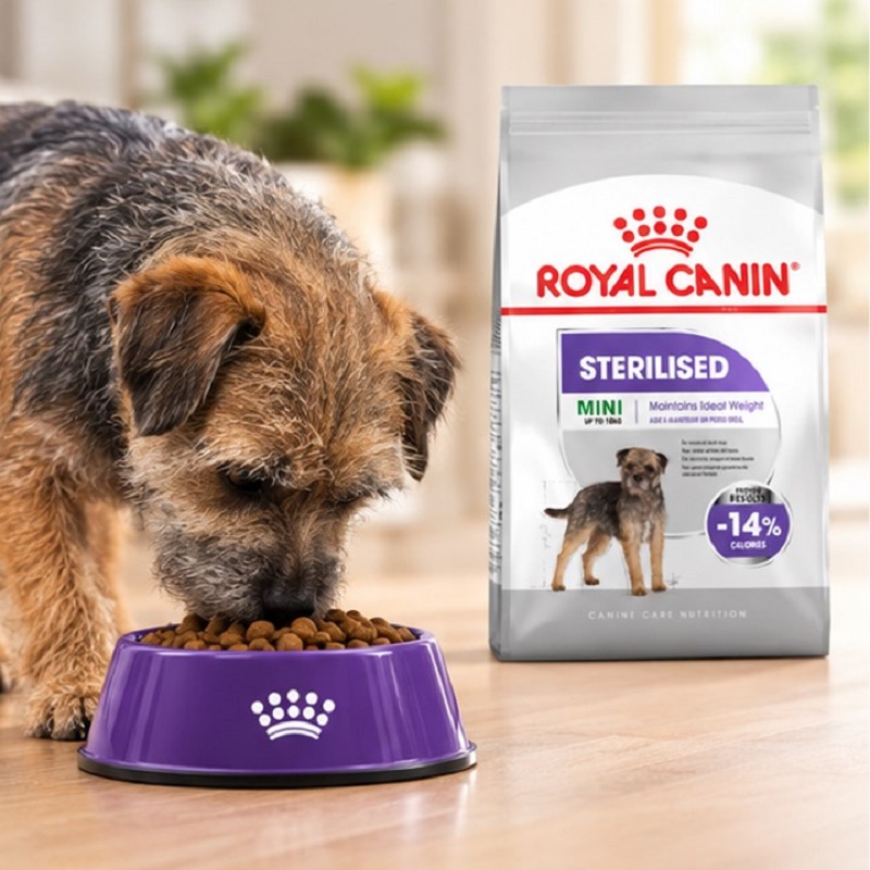 غذای خشک سگ رویال کنین مینی استرلایزد (عقیم شده) 500 گرم Royal Canin Food