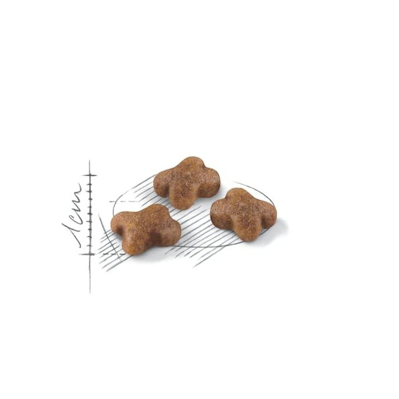 غذای خشک گربه عقیم شده استرلایزد رویال کنین 1 کیلوگرم RoyalCanin Regular Sterilised