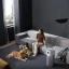 دستگاه تصفیه هوای شیائومی Xiaomi Smart Air Purifier Elite